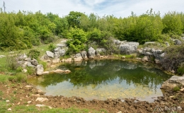 dzien_6-06