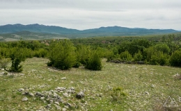 dzien_6-12