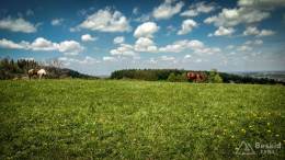 IMG_20170511_114212_HDR kopia