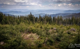 IMG_20170517_113735_HDR