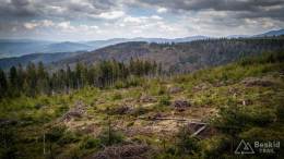 IMG_20170517_113755_HDR