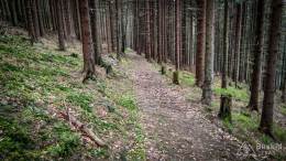 IMG_20170517_114011_HDR