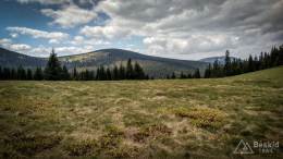 IMG_20170517_115417_HDR