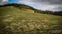 IMG_20170517_115423_HDR