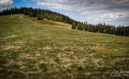 IMG_20170517_115423_HDR
