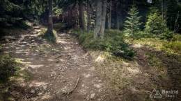 IMG_20170517_115854_HDR