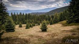 IMG_20170517_115921_HDR