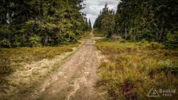 IMG_20170517_123352_HDR