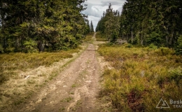 IMG_20170517_123352_HDR