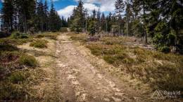 IMG_20170517_123356_HDR