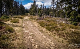 IMG_20170517_123356_HDR