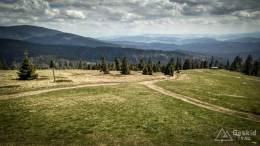 IMG_20170517_132056_HDR