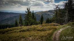 IMG_20170517_133648_HDR