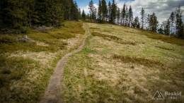 IMG_20170517_133802_HDR