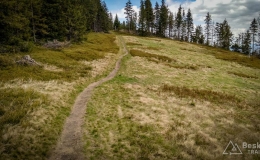 IMG_20170517_133802_HDR