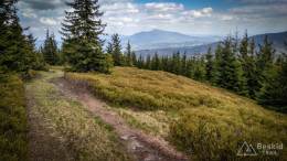 IMG_20170517_135958_HDR