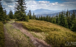 IMG_20170517_135958_HDR