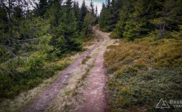IMG_20170517_140006_HDR