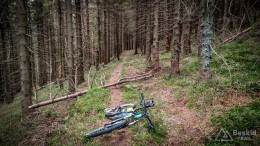 IMG_20170517_143357_HDR