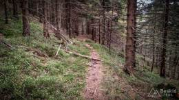 IMG_20170517_143404_HDR