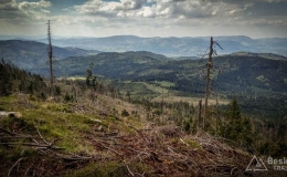 IMG_20170517_143844_HDR