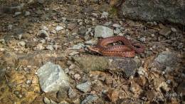 IMG_20170517_151538_HDR