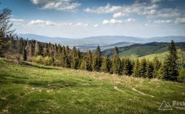 IMG_20170517_151935_HDR