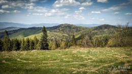 IMG_20170517_151939_HDR