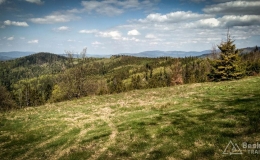 IMG_20170517_151942_HDR
