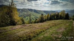 IMG_20170517_154923_HDR