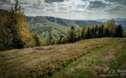 IMG_20170517_154923_HDR