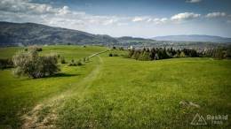 IMG_20170517_155436_HDR