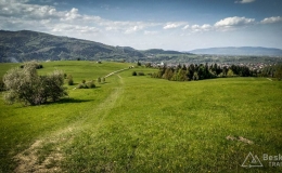 IMG_20170517_155436_HDR