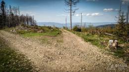 IMG_20170517_170127_HDR