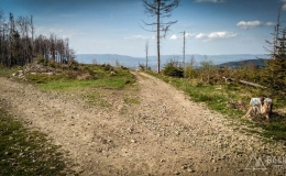 IMG_20170517_170127_HDR