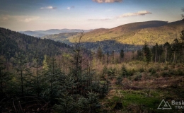 IMG_20170517_190230_HDR
