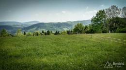 IMG_20170520_103929_HDR