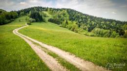 IMG_20170520_104951_HDR