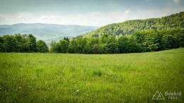 IMG_20170520_104954_HDR