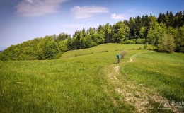 IMG_20170520_105734_HDR