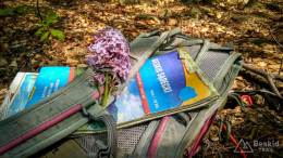 IMG_20170520_112141_HDR