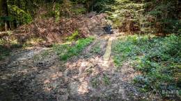 IMG_20170520_124908_HDR