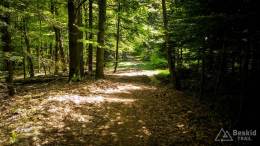 IMG_20170520_134645_HDR