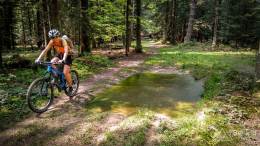 IMG_20170520_135128_HDR