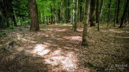 IMG_20170520_143602_HDR