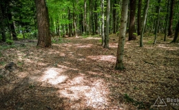 IMG_20170520_143602_HDR