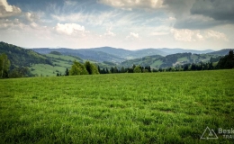 IMG_20170520_145321_HDR