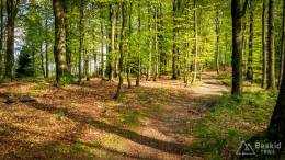 IMG_20170520_161517_HDR