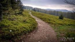 IMG_20170520_171523_HDR