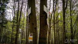 IMG_20170520_172125_HDR